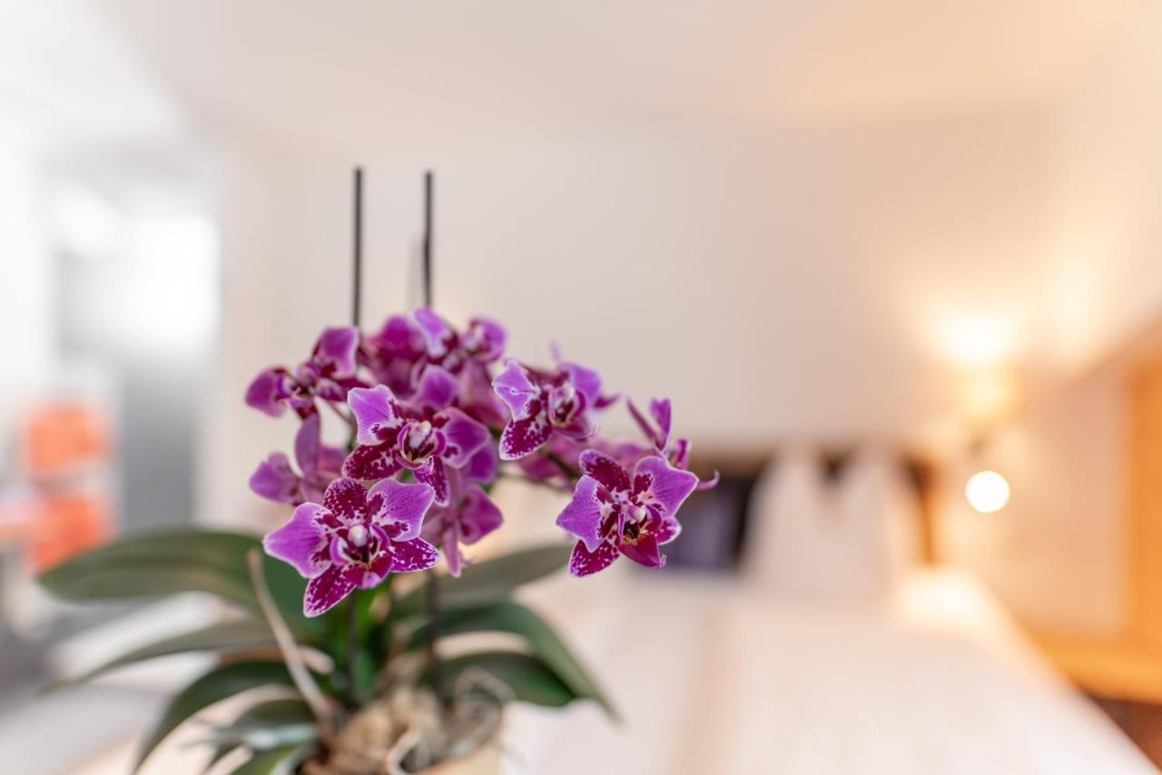 ラートシュタット Wellnesshaus Reicheltアパートホテル エクステリア 写真